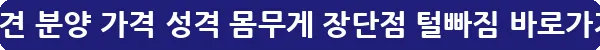 시바견 분양 가격 성격 몸무게 장단점 털빠짐_16