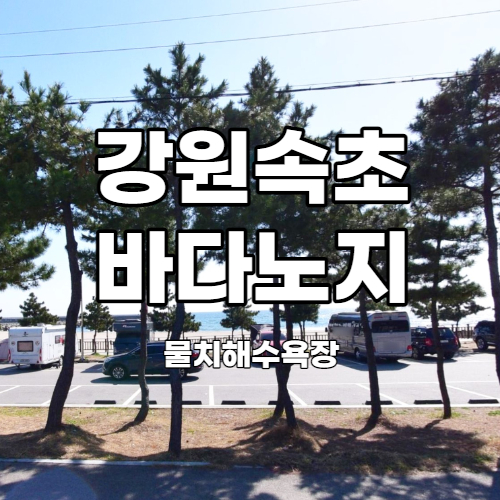 [여행] 강원도 캠핑카 노지차박지 2 : 속초해수욕장 주차장 (취사가능, 화장실 O)