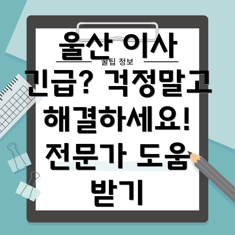 울산 이사 긴급 상황