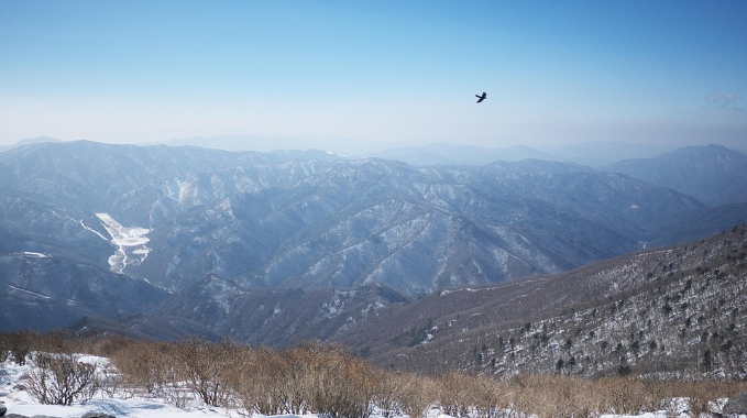 한국의 별 관측 장소 명소인 강원도 태백산의 모습