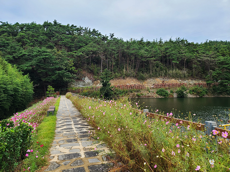충남 걷기 좋은 숲길 국내여행 걷기 좋은 길, 35