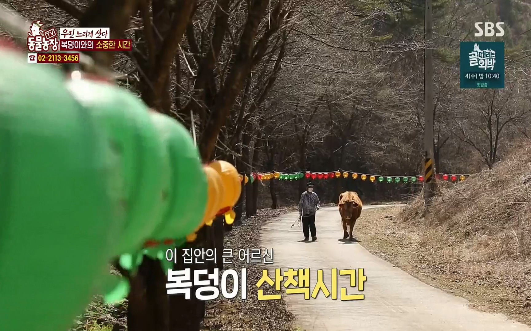 TV 동물농장.E1067.220501p.H264-F1RST.mp4_20220501_184235.351.jpg