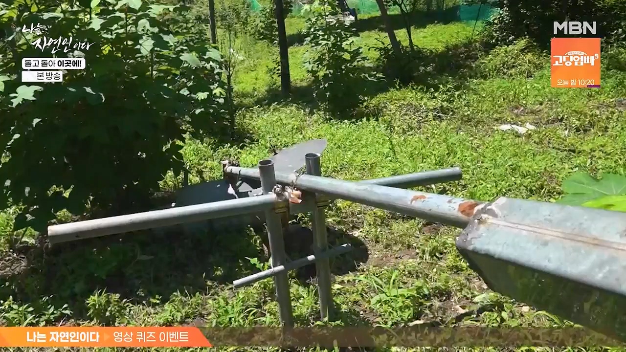 나는 자연인이다.E614.240718p-NEXT.mp4_20240718_195145.846.jpg