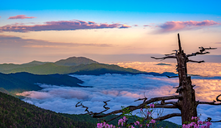 지리산 등산코스