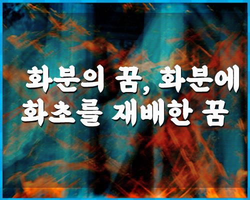 화분에 꽃이 피는 꿈, 화분에 꽃이 피는 꿈 1