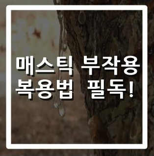  매스틱 효능과 부작용 및 복용법
