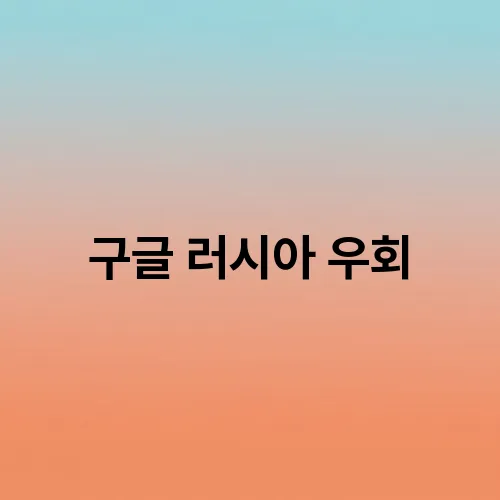 구글 러시아 우회