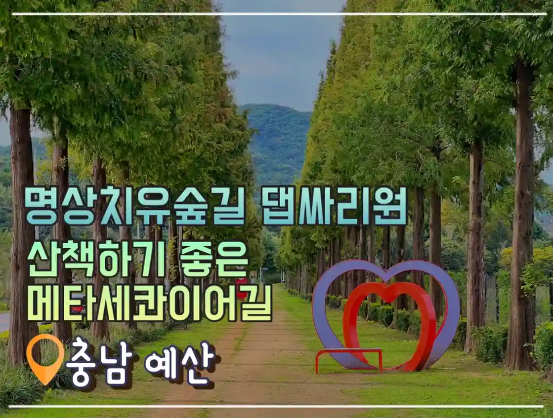  예산 댑싸리원 산책 하기 좋은 곳 메타세콰이어길 단풍 명소 산책