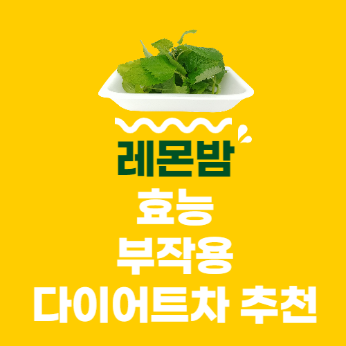  레몬밤 효능 부작용 다이어트 차 추천