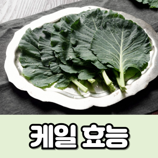 케일 효능과 부작용