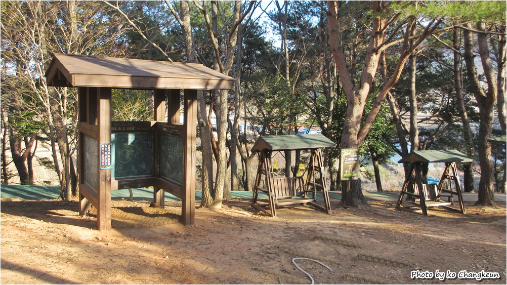 쌈지거제 이미지