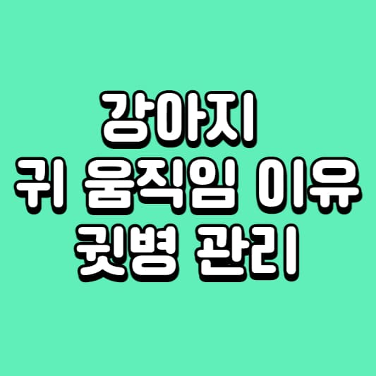 강아지 귀 움직이는 이유
강아지 귀
강아지 귀 세정제
강아지 귀 세척
강아지 귀 물
강아지 귓병
강아지 귀 세정제 추천