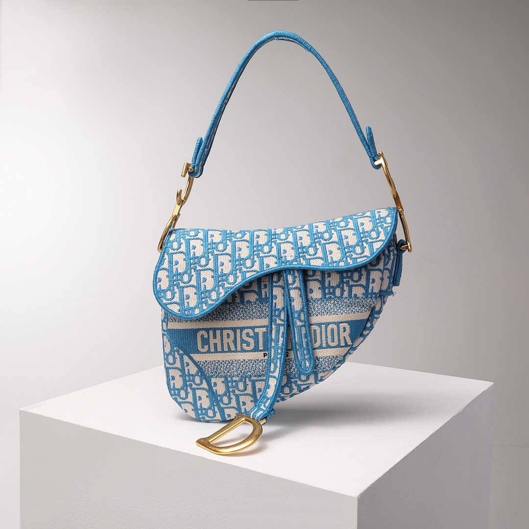  [DIOR] 디올 오블리크 새들백 M0446CRIW