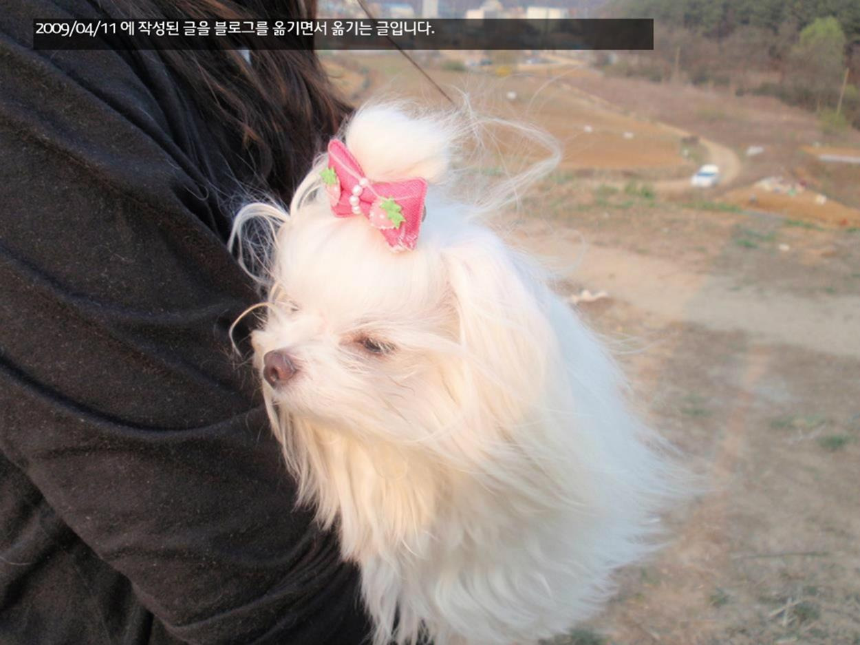 낙생저수지에서 루미와 함께