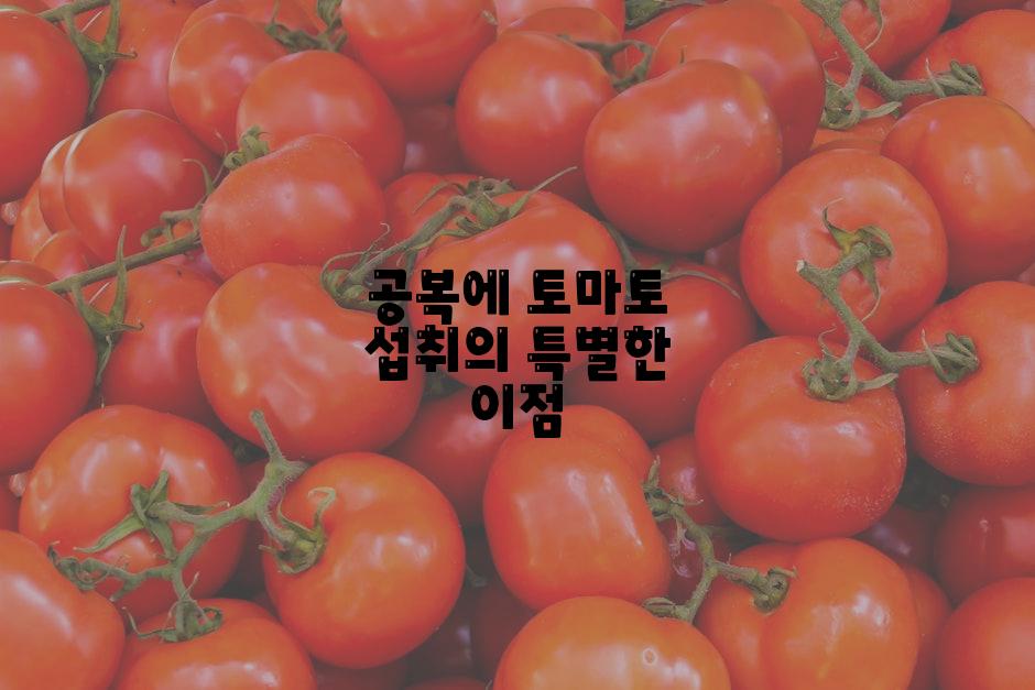 공복에 토마토 섭취의 특별한 이점