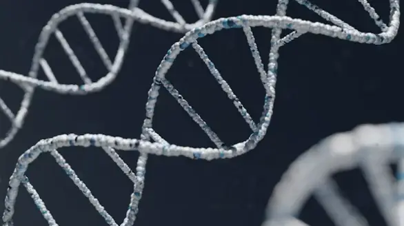 DNA