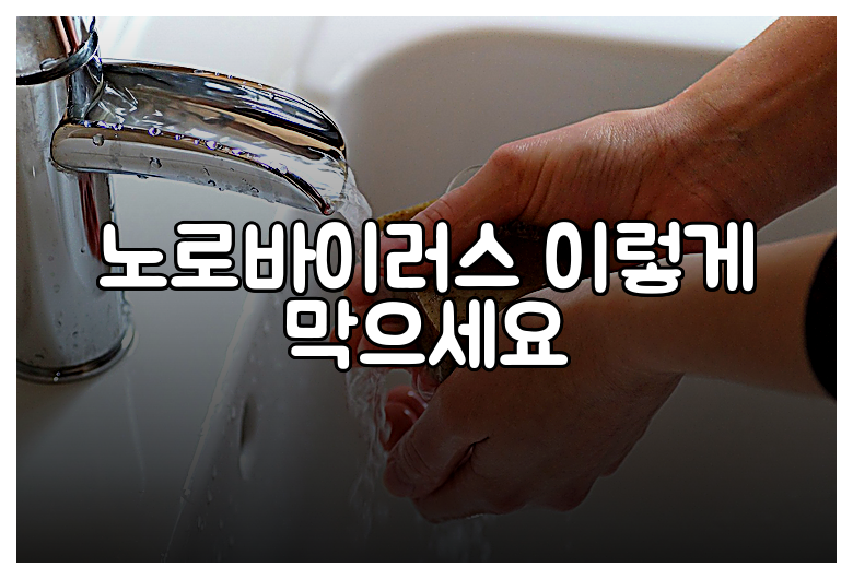 노로바이러스 이렇게 막으세요