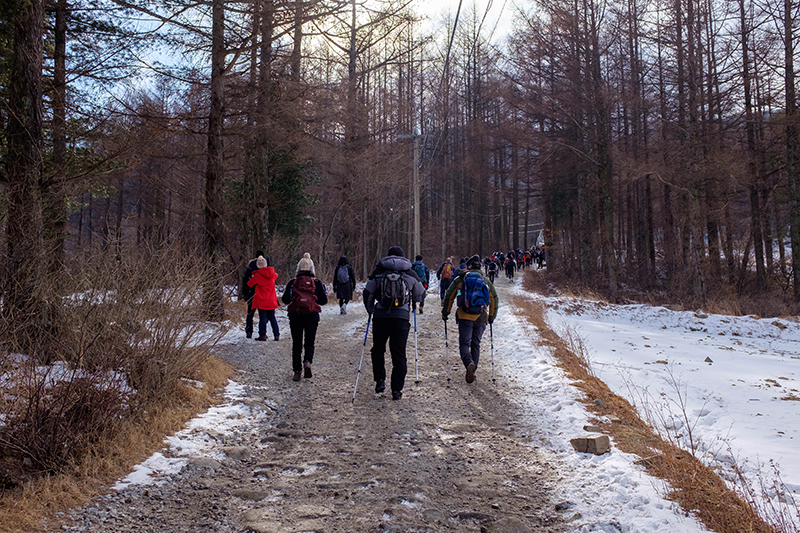 앙상한 나뭇가지가 곧게 뻗은 눈 덮인 겨울산(태백산)을 오르는 등산객들.