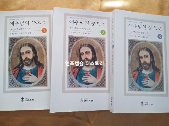  예수님의 눈으로 (책), 앨런 에임스의 영적 기록