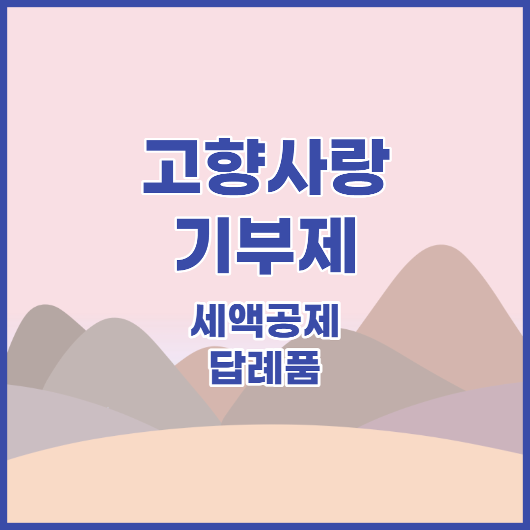 고향사랑기부제-답례품-세액공제