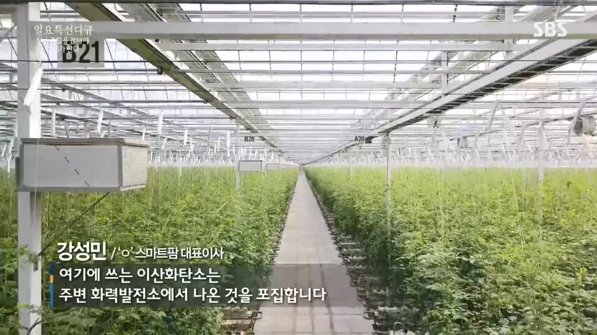 일요 특선 다큐멘터리.E320.230917p.H264-F1RST.mp4_20230925_203214.125.jpg