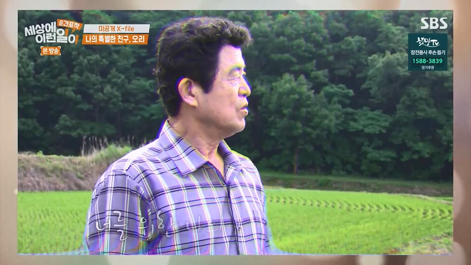 순간포착 세상에 이런일이.E1234.230624p.H264-F1RST.mp4_20230626_211159.610.jpg