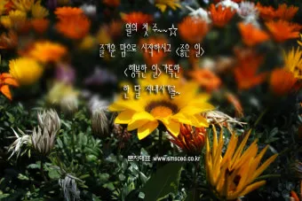 6월 인사말 모음집 이미지 문구 이미지 모음_19
