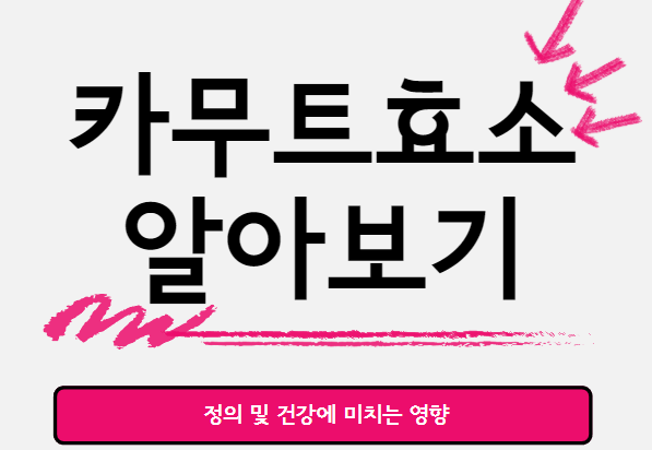  카무트 효소 : 정의 및 건강에 미치는 영향
