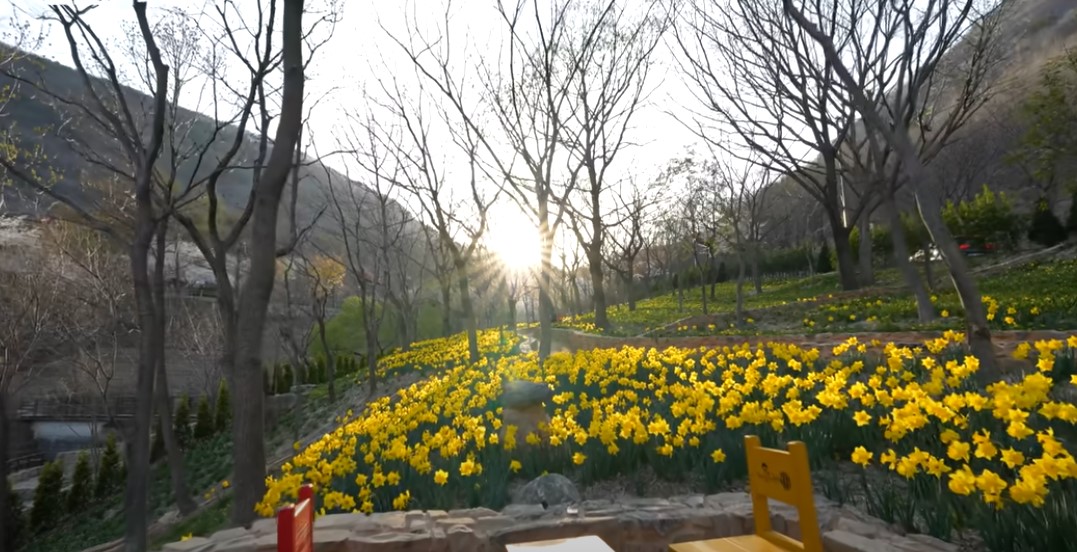 남도 여행지