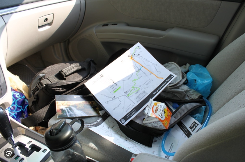 자동차 벌레제거 및 예방: 차량을 보호하는 효과적인 방법과 전략