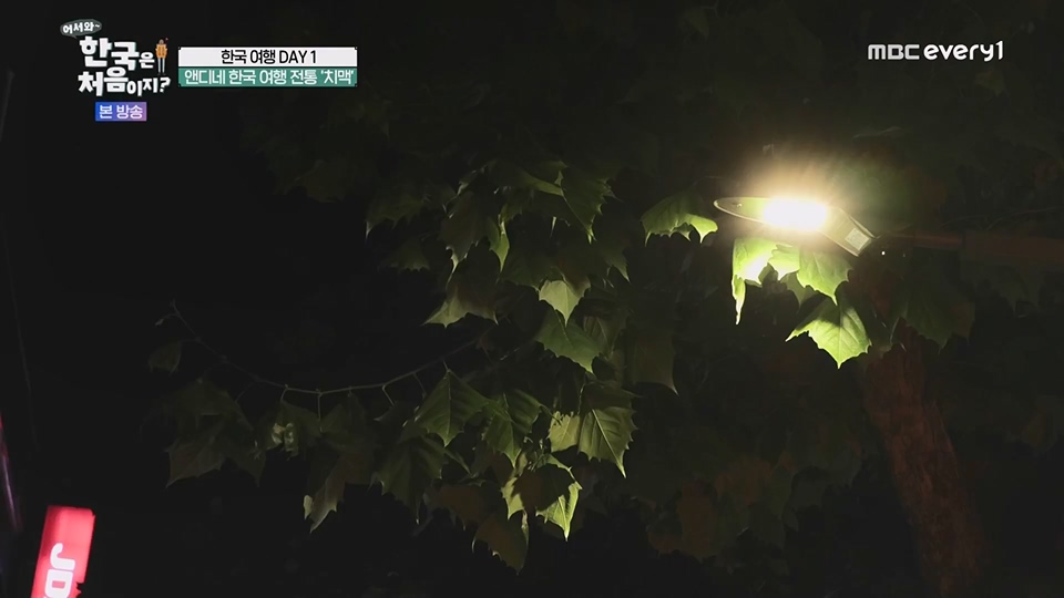 어서와 한국은 처음이지.E268.230622p.WANNA.mp4_20230623_205905.251.jpg