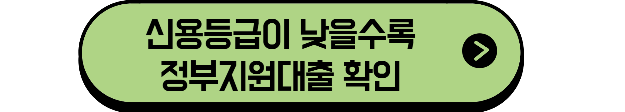 정부지원대출