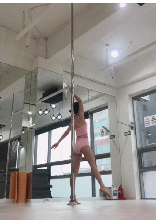  폴쭈기의 폴댄스 이야기 #8 : 대한폴댄스연맹