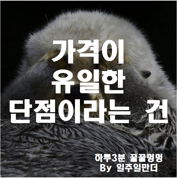 가격이 유일한 단점이라는 건