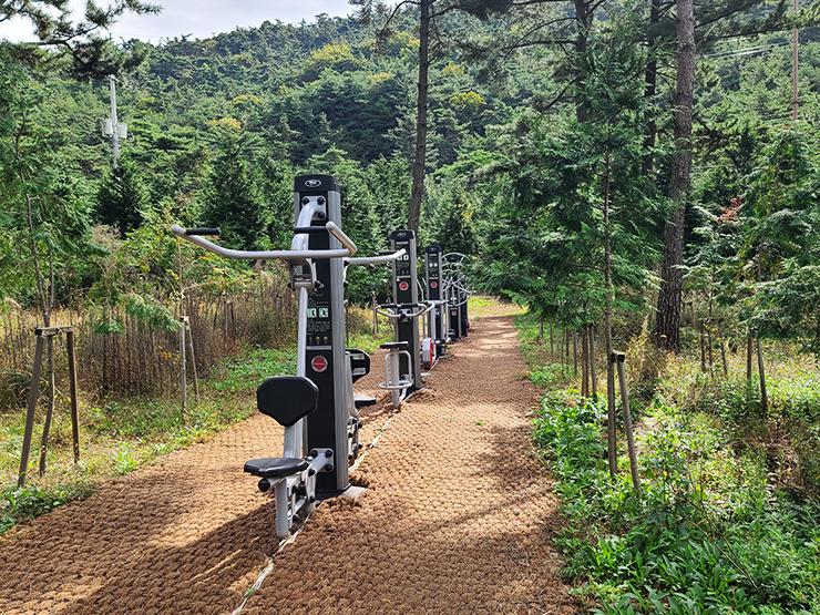 충남 걷기 좋은 숲길 국내여행 걷기 좋은 길, 29