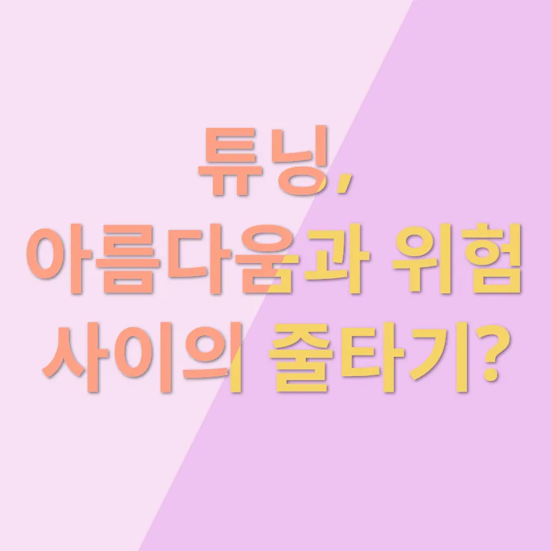 튜닝 검사 대행_1