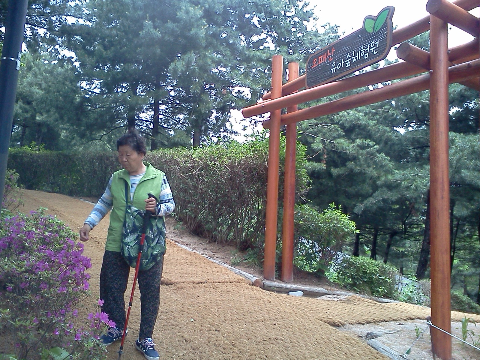 오패산 유아숲체험원 이미지