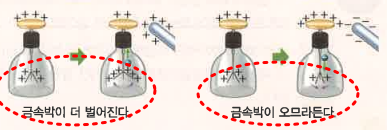 전하의 종류 학인 실험