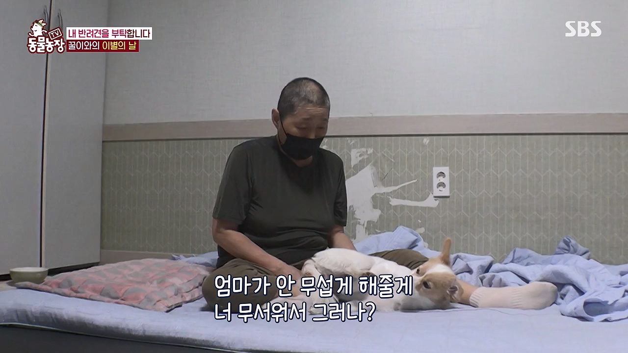 TV 동물농장.E1174.240603p-NEXT.mp4_20240602_155745.775.jpg