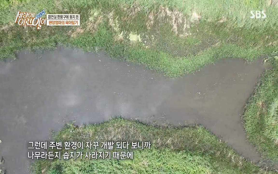 순간포착 세상에 이런일이.E1188.220713p-NEXT.mp4_20220713_175323.384.jpg