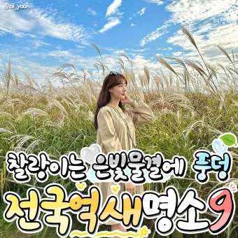가을 감성 폭발하는 억새 명소 총정리 완벽 여행 가이드_6