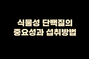  식물성 단백질의 중요성과 장점과 섭취방법