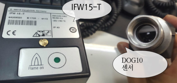 IFW15-T.DOG 10 사진모음