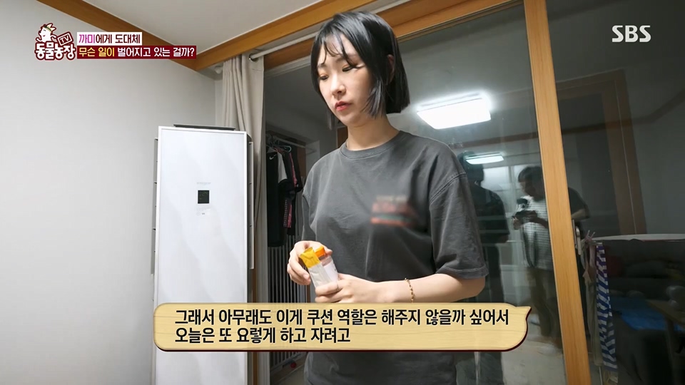 TV 동물농장.E1128.230709p.H264-F1RST.mp4_20230709_183544.933.jpg