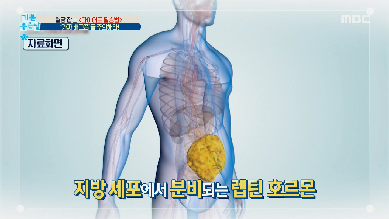  기분 좋은 날 비만 당뇨 다이어트 실패 원인 혈당 정복 와일드 망고 효능 효과 셀프 혈당 측정기 나쁜 탄수화물 공복 혈당 지수 낮추는 음식 허벅지 근력 근육 향상 그대로 멈춰라 운동 10초 만..
