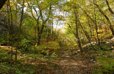 산음자연휴양림 예약 가이드: 숲나들e로 손쉬운 예약 방법 체크포인트