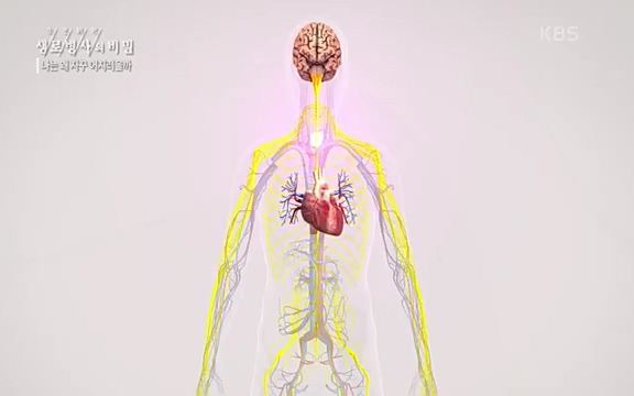 [830회] 생로병사의 비밀 - KBS830회] 생로병사의 비밀.ts_20220828_135427.493.jpg
