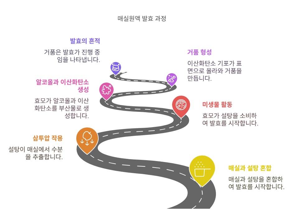 매실원액 거품, 대체 생기는 이유 알아보기