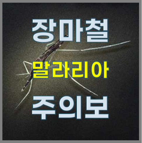 장마철, 말라리아 주의보 발령