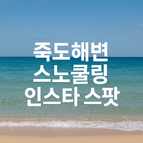 인스타 감성 가득한 죽도해변 스노클링 후기